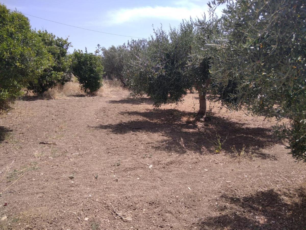 Capinera Bed & Breakfast Agrigento Exterior photo